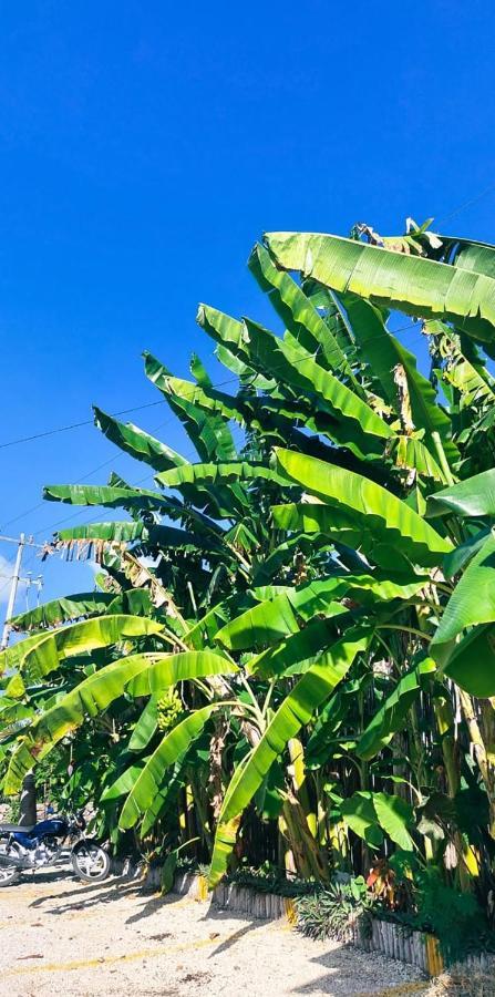 Hotel Xa'An Bacalar Kültér fotó